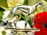 Zlatý chrt 2009 - Golden Greyhound - vítězové soutěže DOSTIHY a DESIGN - reportáž