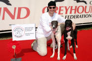 esk greyhound dostihov federace - Dior a Chanel se u v Greyhound Schooling Academy