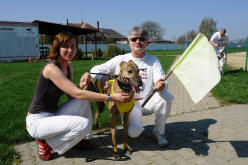 esk greyhound dostihov federace - Second Dual Racing 2009 - klidn Irov ped startem - Swift Cruise