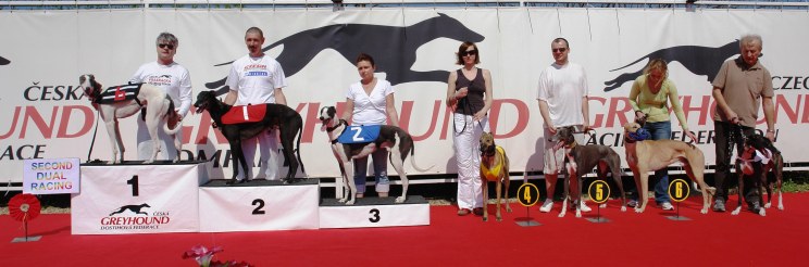 esk greyhound dostihov federace - Second Dual Racing 2009 