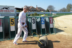 esk greyhound dostihov federace - Second Dual Racing 2009  - povinn vlcovn