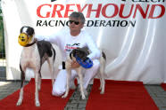 esk greyhound dostihov federace - Second Dual Racing 2009  Cayenn a Chanel