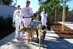 Greyhound team GDF se zstupci esk greyhound dostihov federace