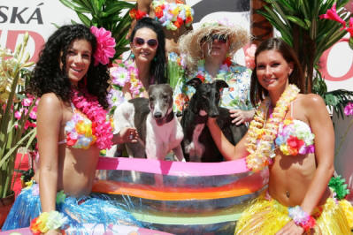 Chrt princezny Chanel a Dior s majiteli a krsnmi havajankami