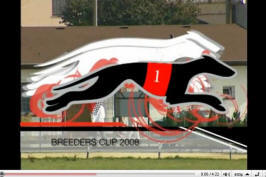 Greyhound races Second Dual Racing 2010 & Greyhound Star Moto Racing Ferrari -  a reportage