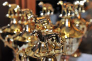 Zlatý chrt 2009 - slavnostní předávání chrtích "Oscarů" - noticka č. 1