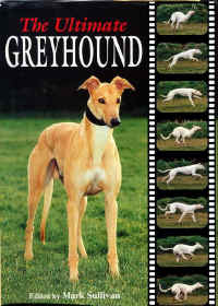 greyhound-2.JPG (91196 bytes)